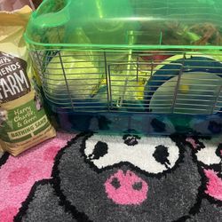 ! Hamster Bundle For Starter Pet Owner !