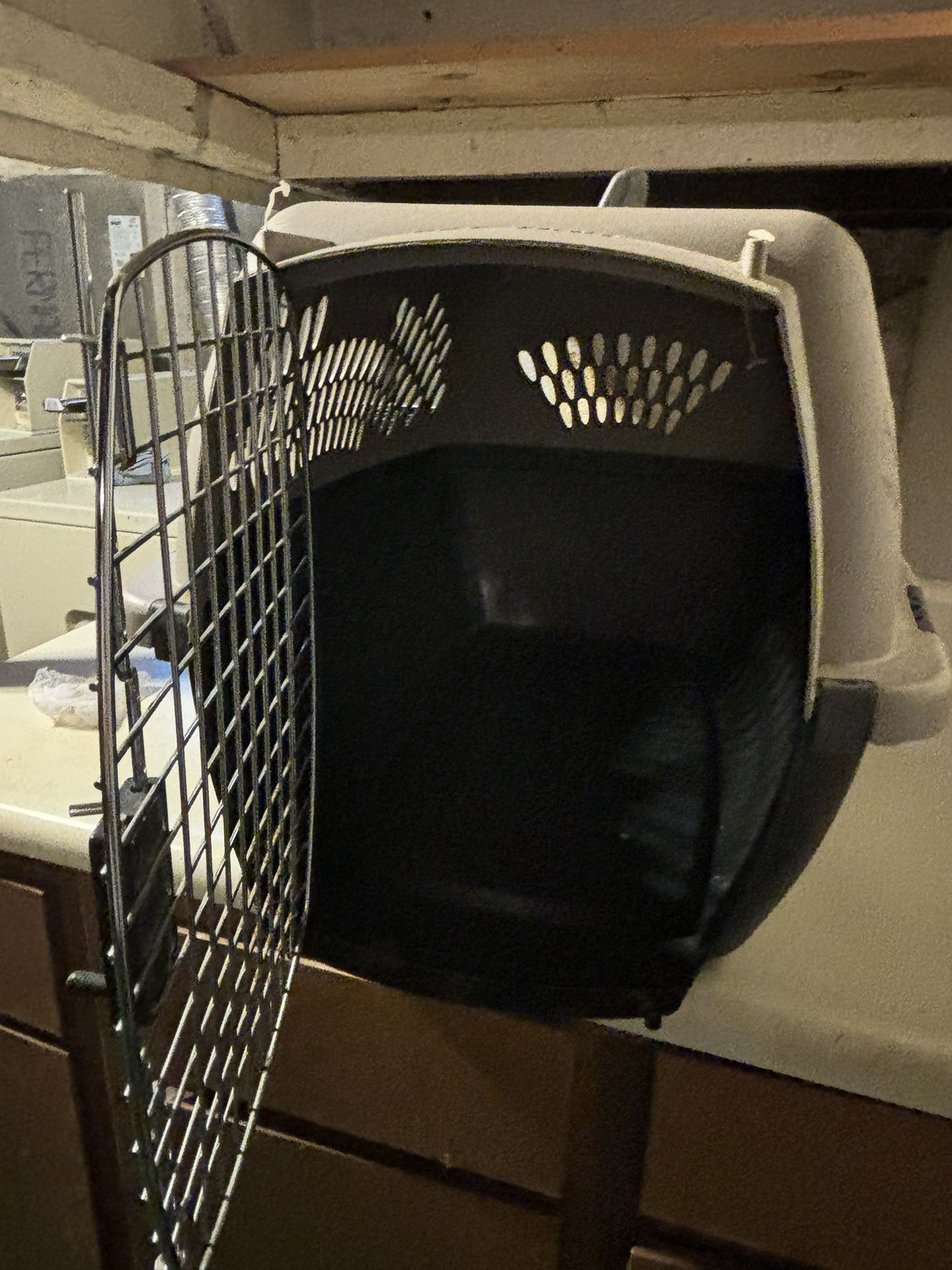 Sturdy Pet Taxi Carrier Up To 20 Pounds 