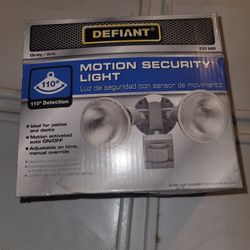 Motion Security Light