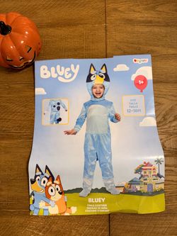 New Bluey Costume 🎃👻