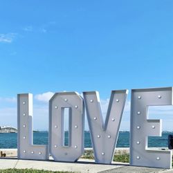 Big Love Sign For SALE 