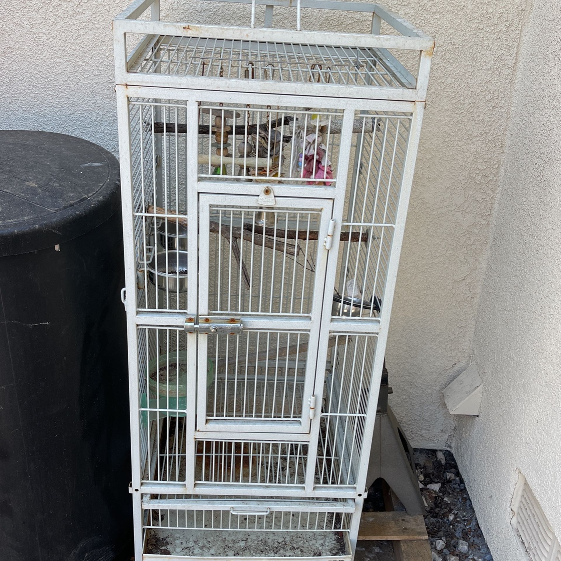 Bird Cage