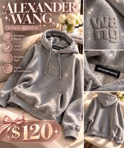 ✨ Alexander Wang Gray Glitter Logo Hoodie – Brand New – $120