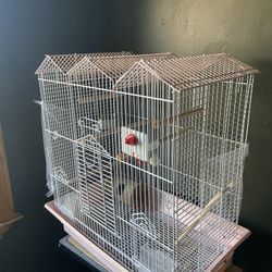 Large Bird Cage 