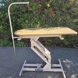 Shoreline hydraulic grooming table