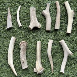 Dog Antler chews