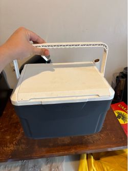 10 quart, 14 can cooler with handle