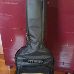 Guitar 🎸  Case 