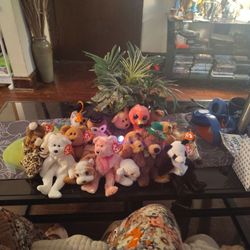 19 Ty Beanie Baby 