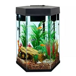 Fish Tank GONE ASAP