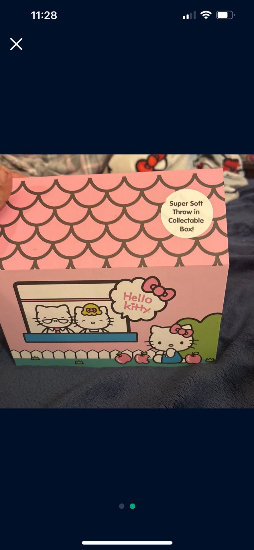 Hello Kitty  & Hobbies