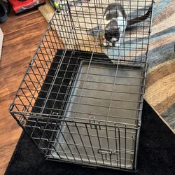 Wire Kennel 30” X 19” X 19”