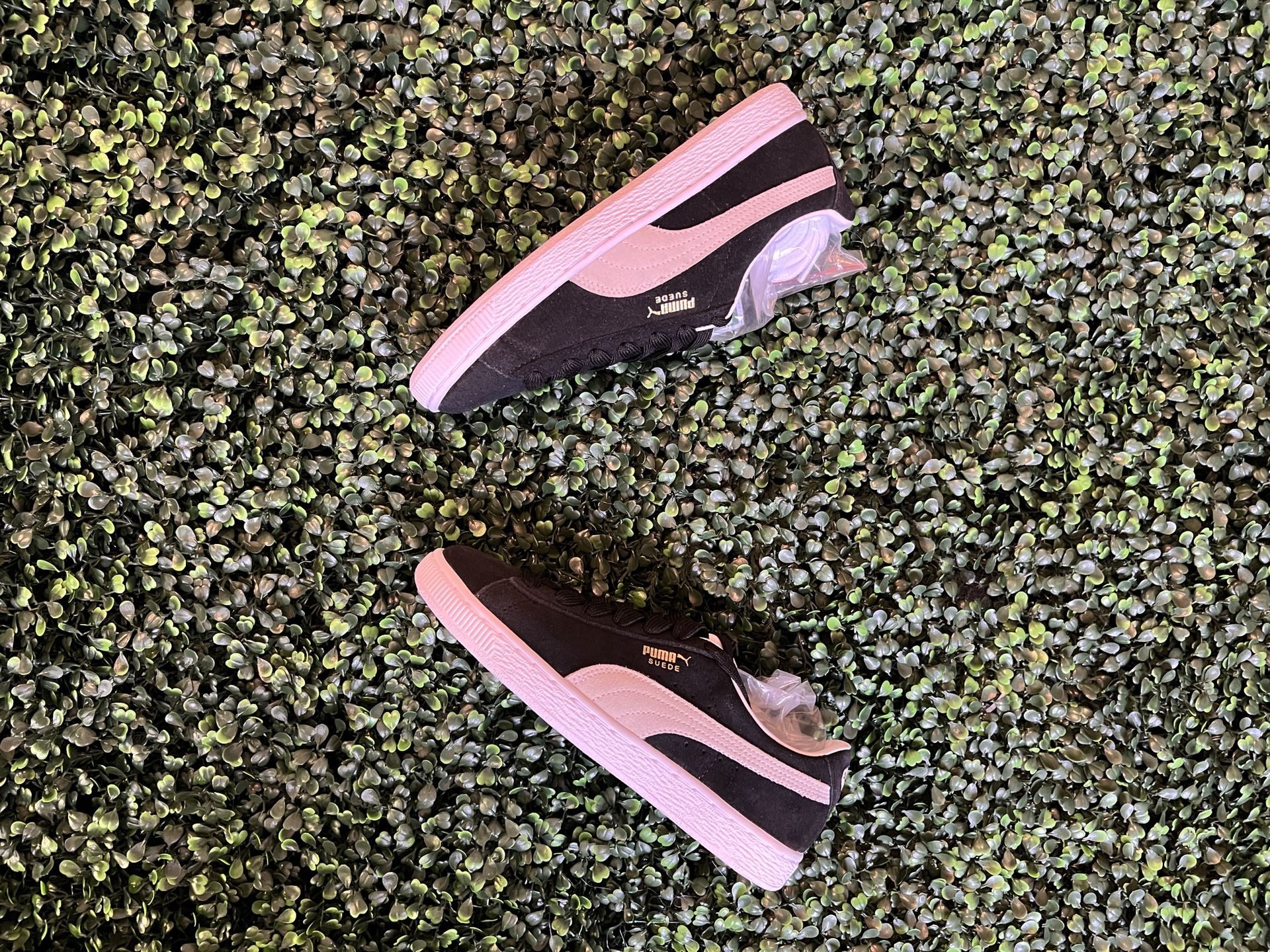 Puma Suede