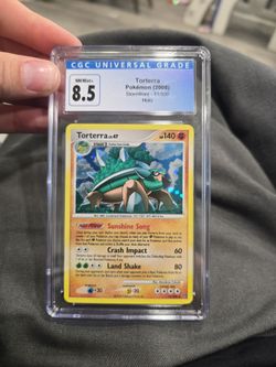 Torterra stormfront