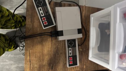 Nintendo