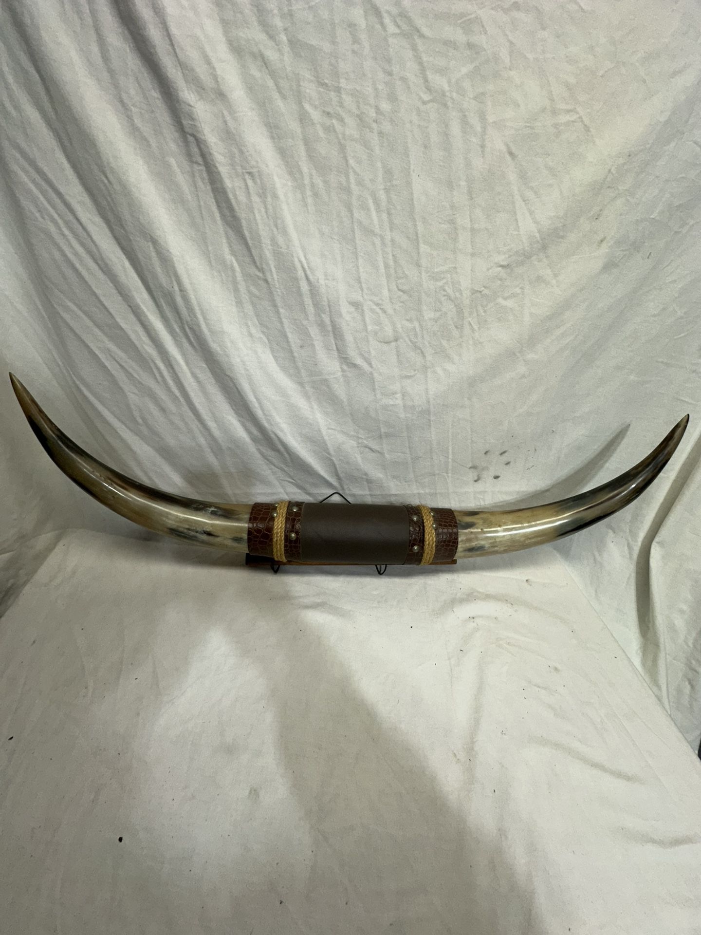 Mounted Rack Of Cattle Horns