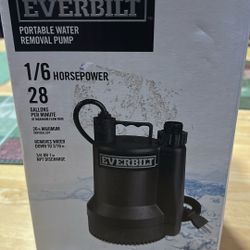 EVERBILT Portable Water Removal Pump 1/6 Horse Power