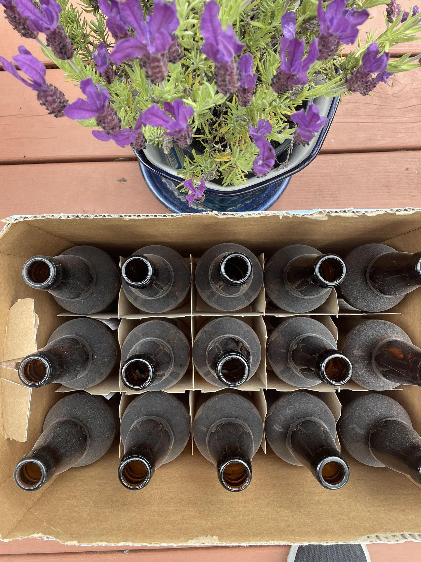Home Brew Bottles 22oz