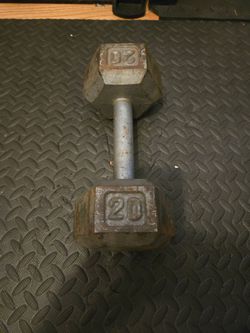20lb Metal Hex Dumbbell-