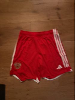 Adidas World Cup shorts