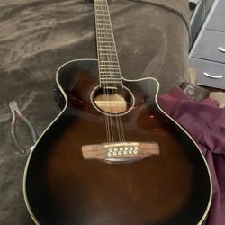 Ibanez Requinto 12 String Guitar 