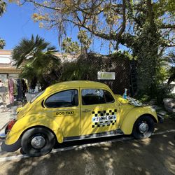 1975 Volkswagen Beetle