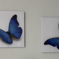 Juego De 3 Cuadros Acrílico Nuevos Excelente Estado 23”x23” Cada Uno 