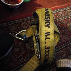 Husky 27 Ft X 2in Heavy Duty Ratchet Tie Down