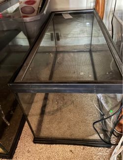 reptile enclosure
