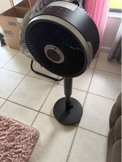 Fan