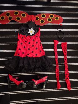 Lady Bug Costume With Shoes
