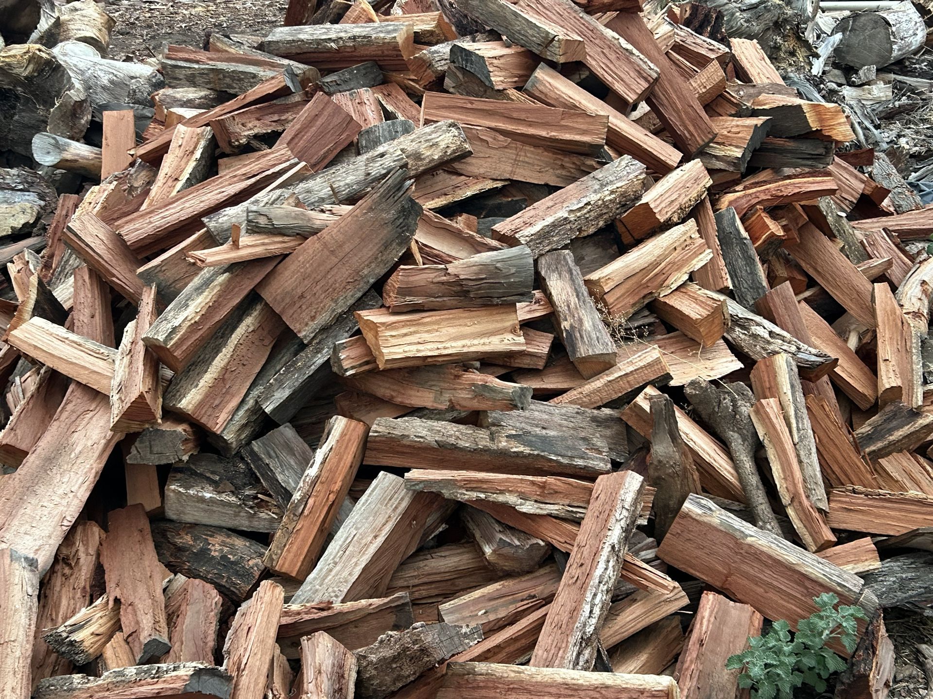 Firewood All Kinds