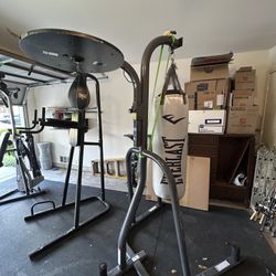 Everlast Punching bag And Speed Bag