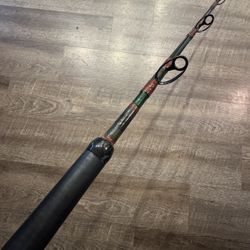 Rain Shadow 7’ 80-200 Salt Water Fishing Rail Rod  