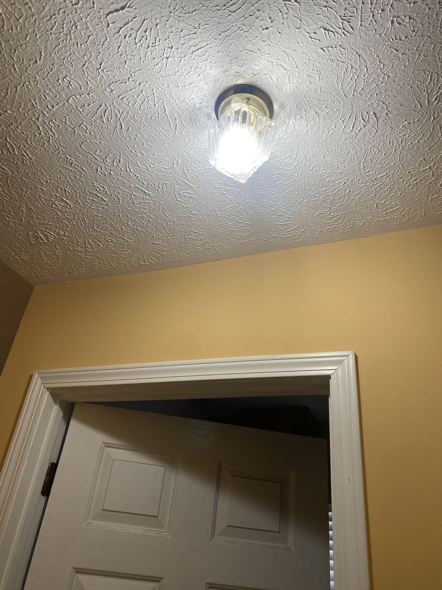 Ceiling Light