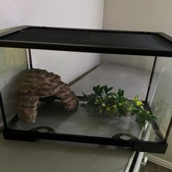 10 Gallon Aquarium Kit