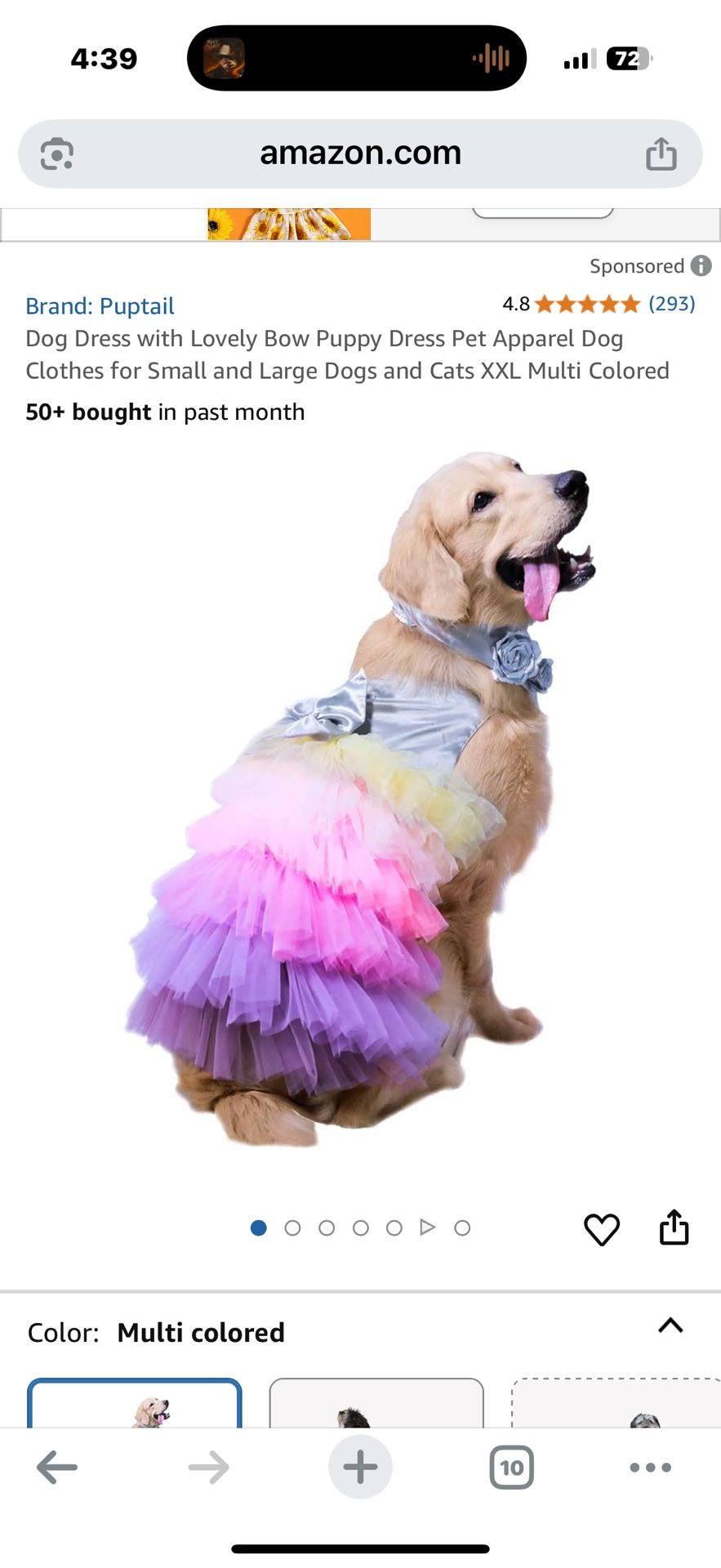 Doggy Dress