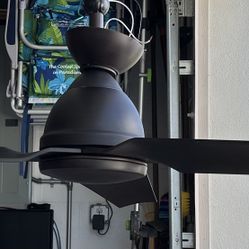 MinkAire 52” Fan Indoor or Outdoor Use