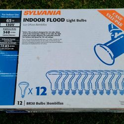 Sylvania Flood Lights