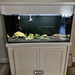 90 Gallon Aquarium