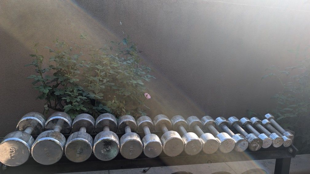 Ivanko dumbbells