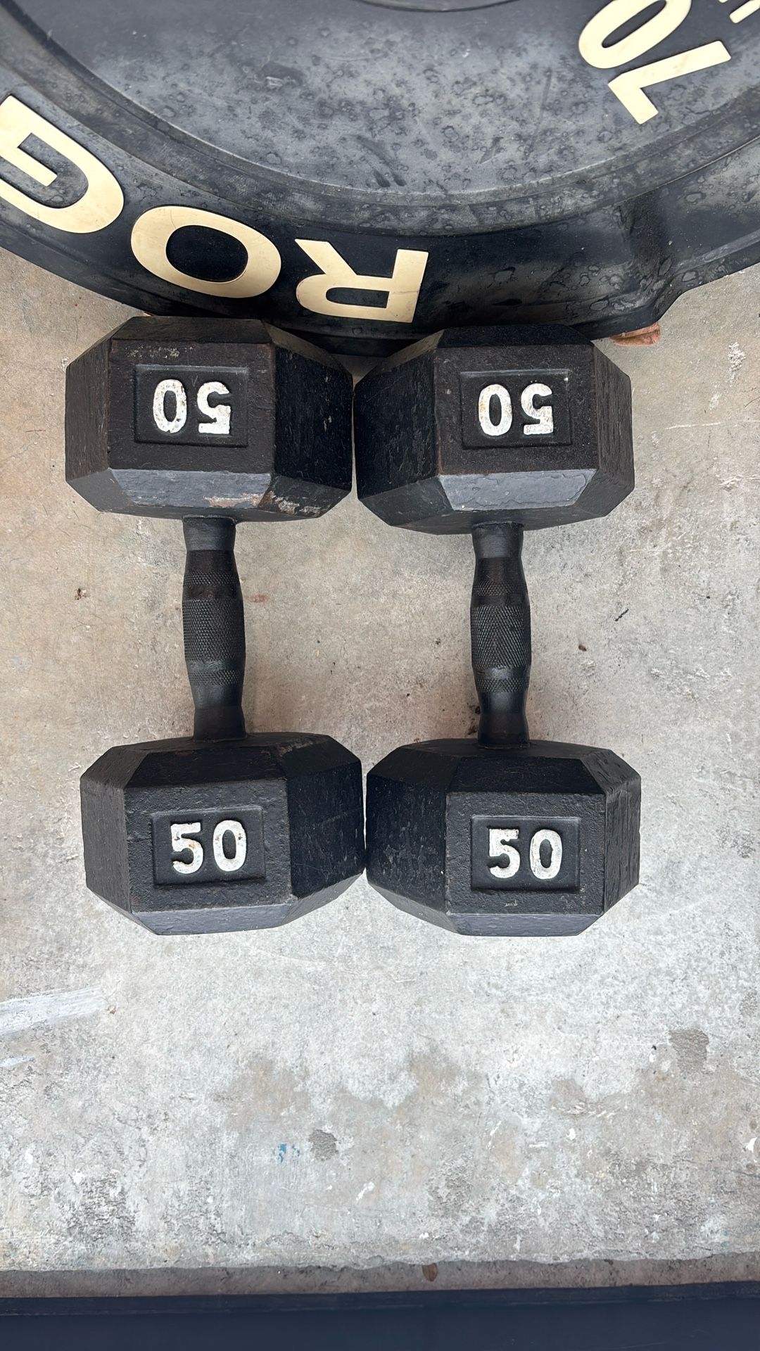50lb dumbbells
