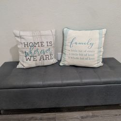Decorative Throw Pillows (Pair)