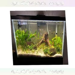 determine eight All-Set Aquarium Package - Discover Water World Magic