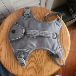 Dog Halter