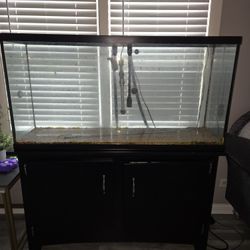 Fish Tank With Standar