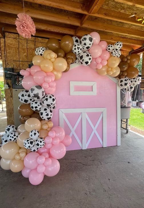 Pink Barn Backdrop 