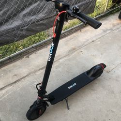 Gyroor Electric Scooter For Adult 