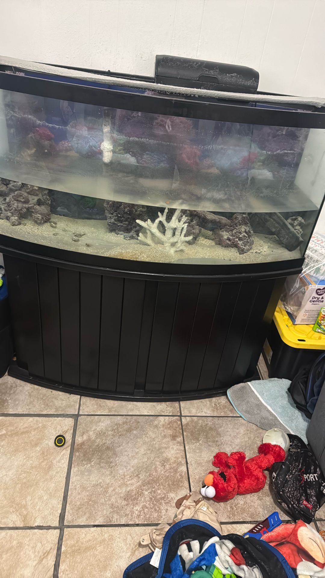 70 Gallon Bow Front Fish Tank