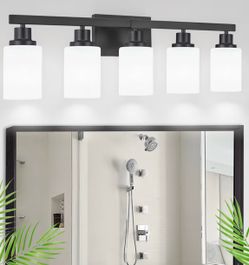 Bathroom Vanity Light Over Mirror 5-Light Batroom Lighting 30in - B258